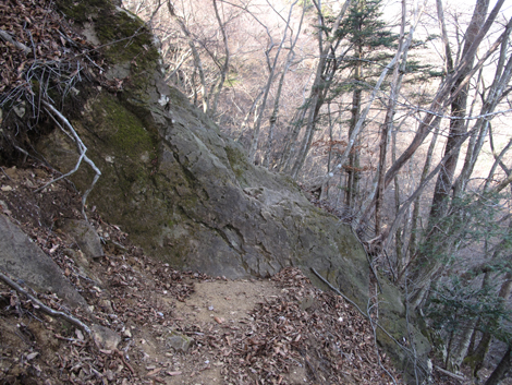 20190108hike (123)